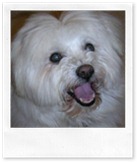 SheepaGetsASurprise-EDIT